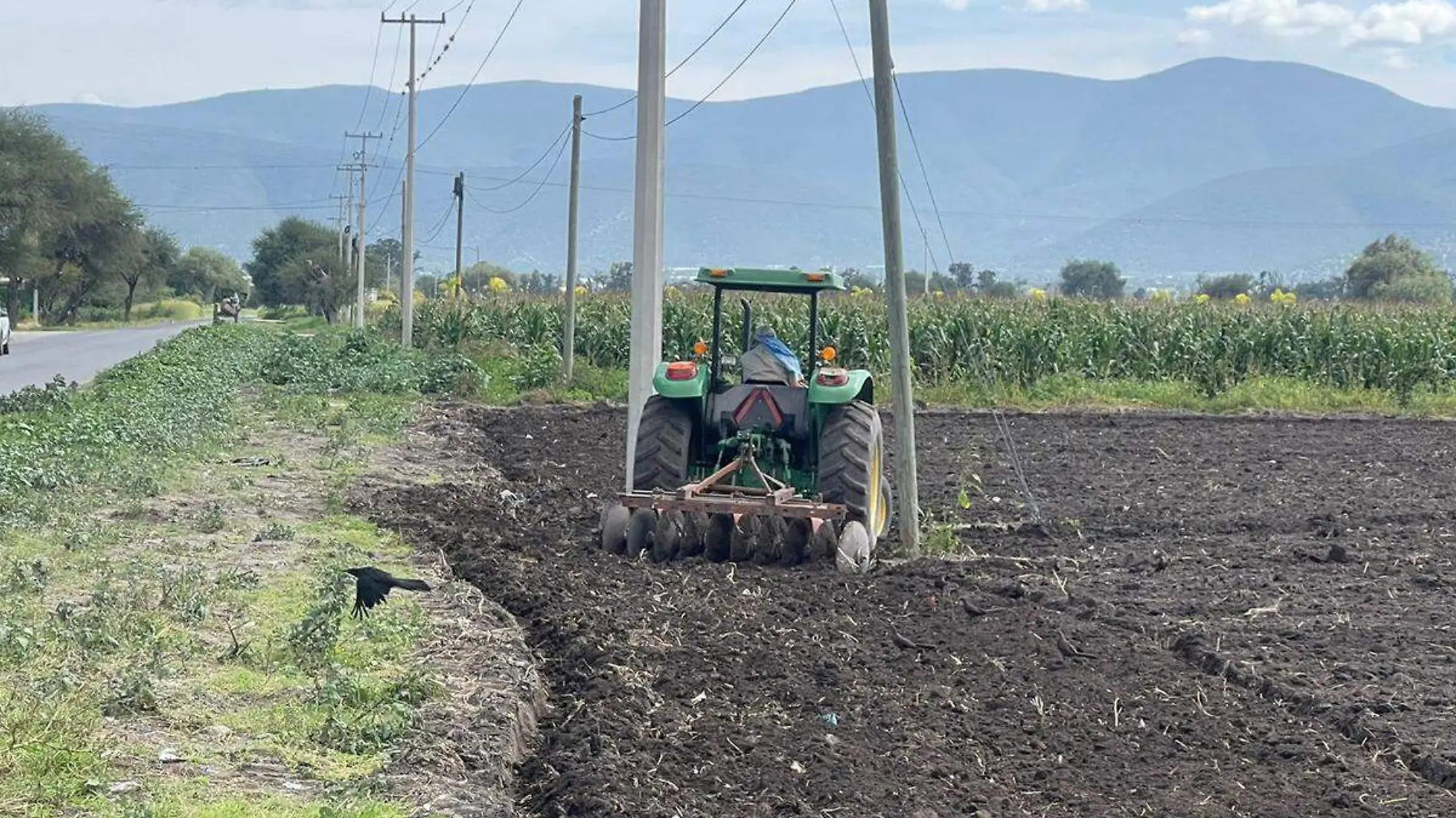 frenan a empresas chinas su entrada a campos de cultivo de Tehuacan